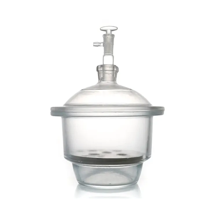 Clear Glass Vacuum Desiccator With Ground in Stopcock And Porcelain Plate
